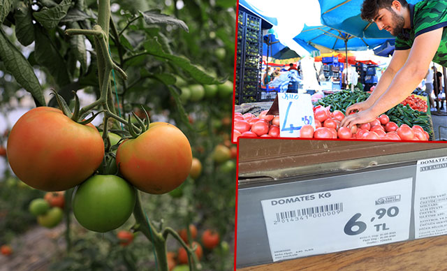 Seradan 2.5 liraya çıkan domatesin fiyatı 5 kilometrede yüzde 176 artıyor