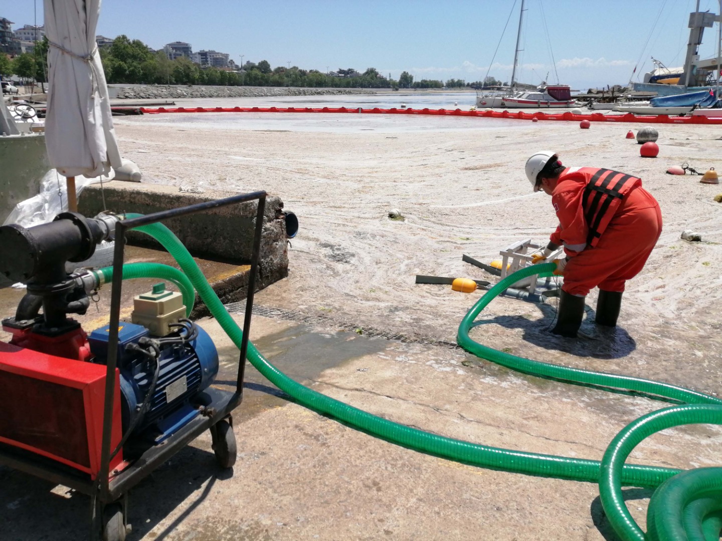 Çevre ve Şehircilik Bakanlığı ilk adımı attı; deniz salyası temizliği başladı 