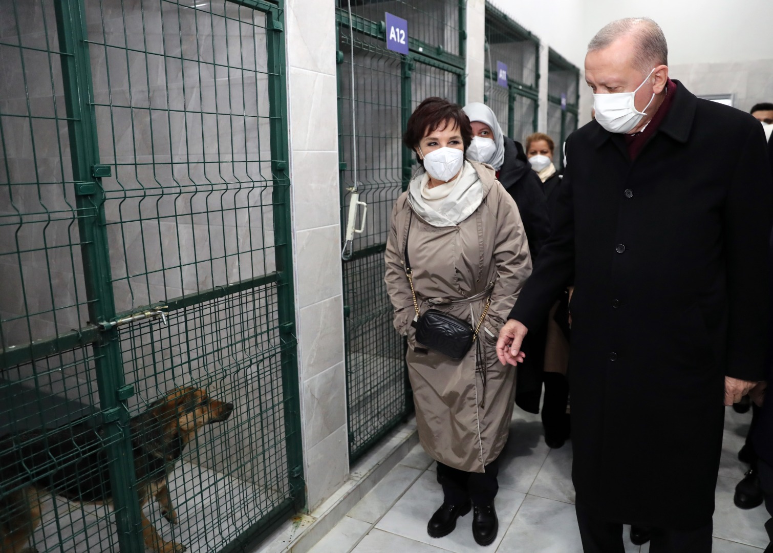 Erdoğan, hayvan barınağını ziyaret etti