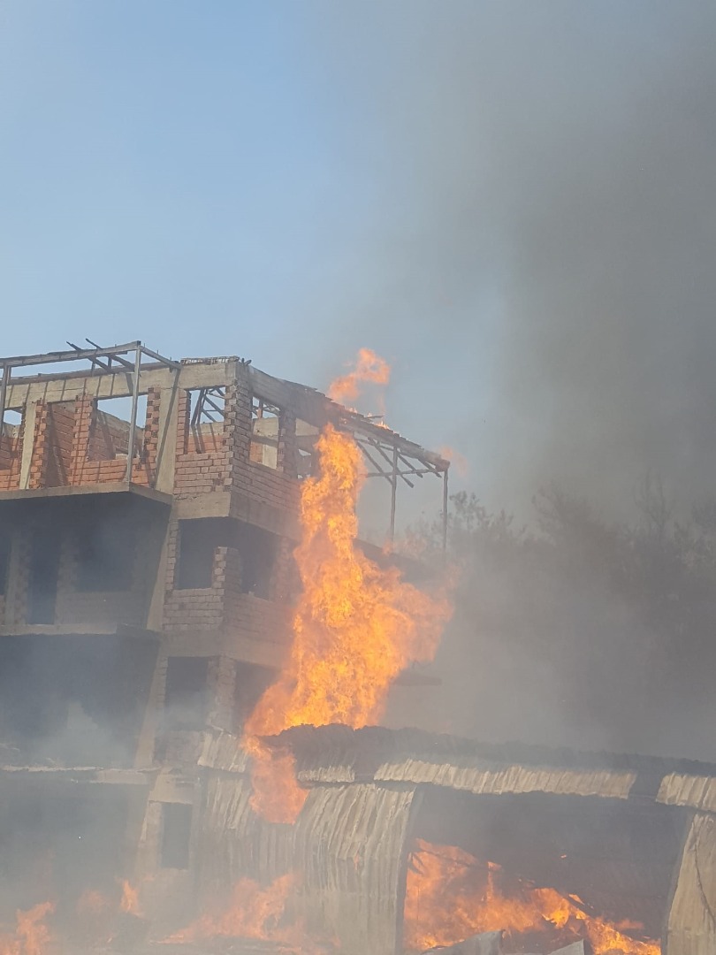 Manavgat'ta 4 noktada orman yangını