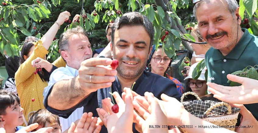 BAĞCILAR’DA KİRAZ FESTİVALİ COŞKUSU