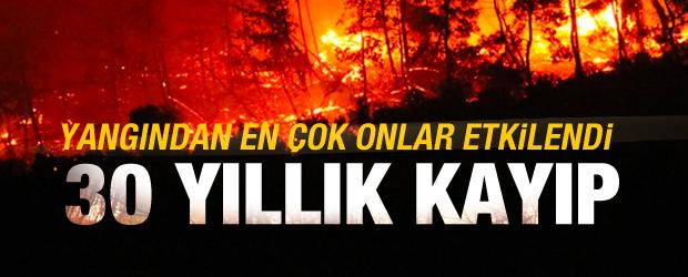 Orman yangınları en çok o üreticileri vurdu! 30 yıllık kayıp