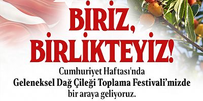 ATAŞEHİR’DE DAĞ ÇİLEĞİ TOPLAMA FESTİVALİ