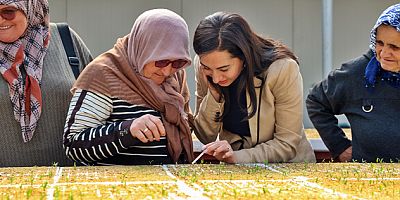 BEYKOZ’DA ÜRETİCİYE 1,5 MİLYON ADET FİDE DESTEĞİ SAĞLANACAK