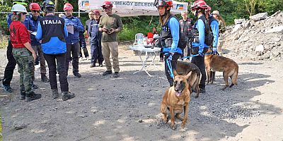 ÇEKMEKÖY'DE ARAMA KURTARMA KÖPEKLERİ ŞAMPİYONASI DÜZENLENDİ