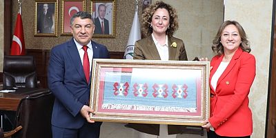 DİLOVASI 'GİLEM' MARKASI İLE DÜNYAYA AÇILACAK