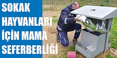 SOKAK HAYVANLARI İÇİN MAMA SEFERBERLİĞİ