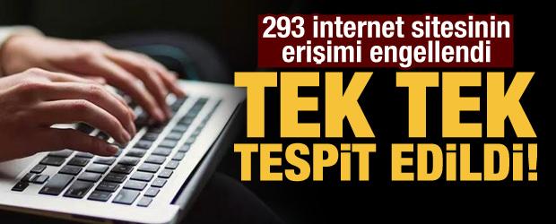 Tek tek tespit edildi: 293 internet sitesinin erişimi engellendi!